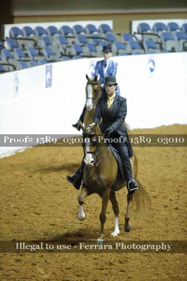 Proof 15R9_03010