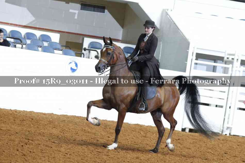 Proof 15R9_03011