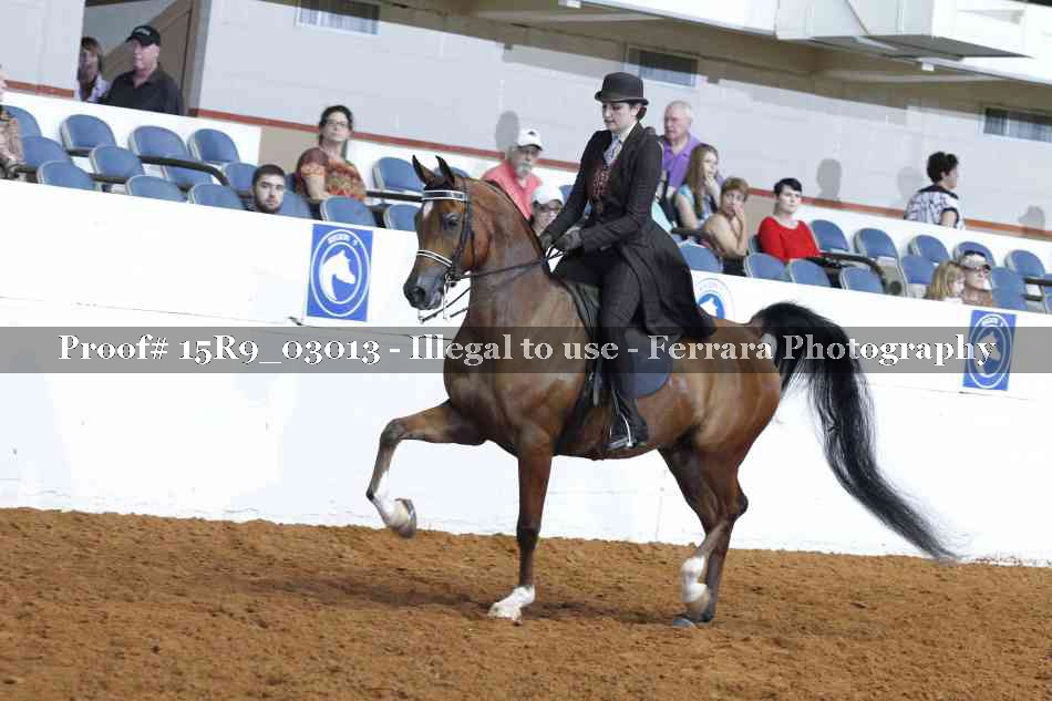 Proof 15R9_03013
