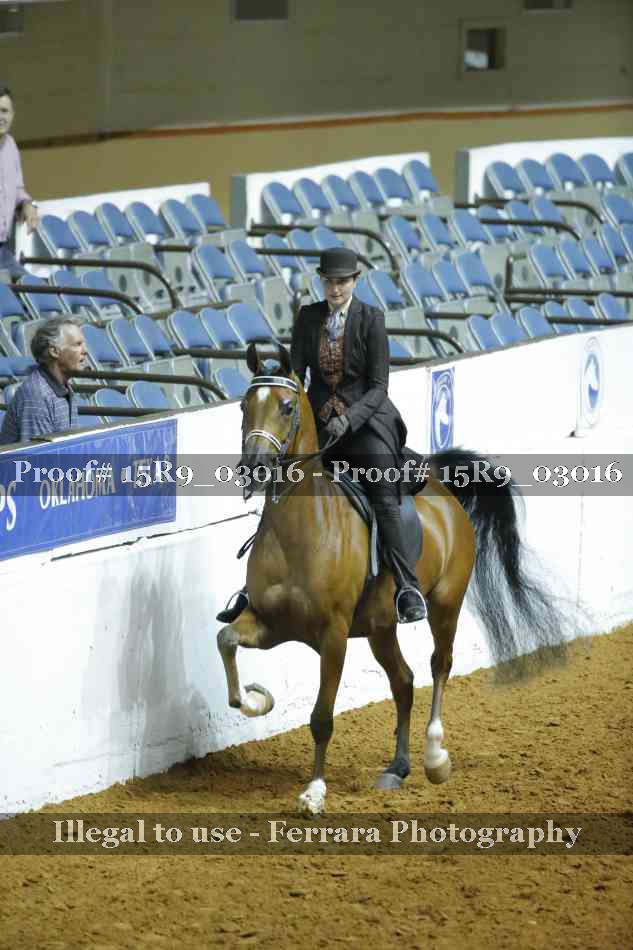 Proof 15R9_03016