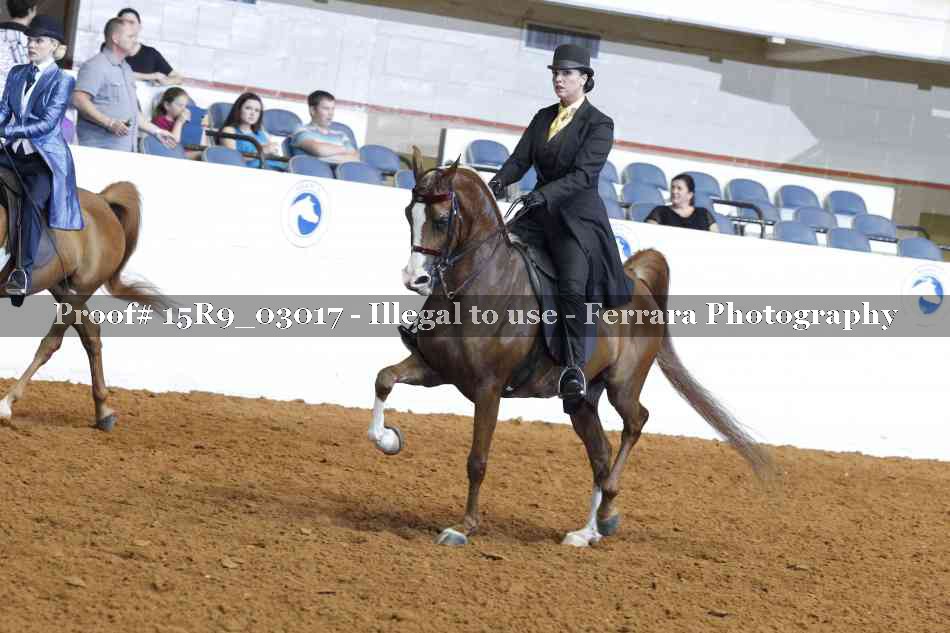 Proof 15R9_03017