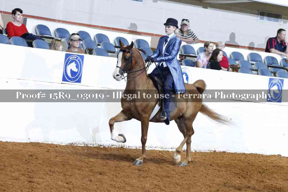 Proof 15R9_03019