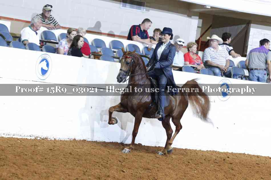 Proof 15R9_03021