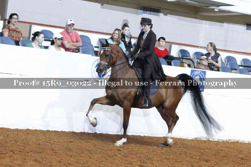 Proof 15R9_03022