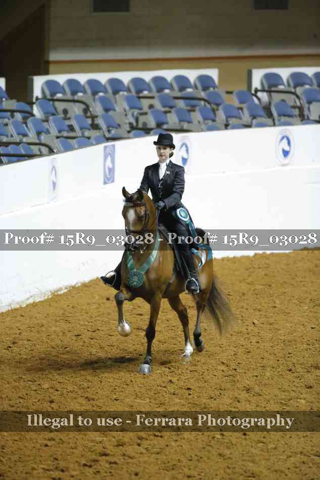 Proof 15R9_03028