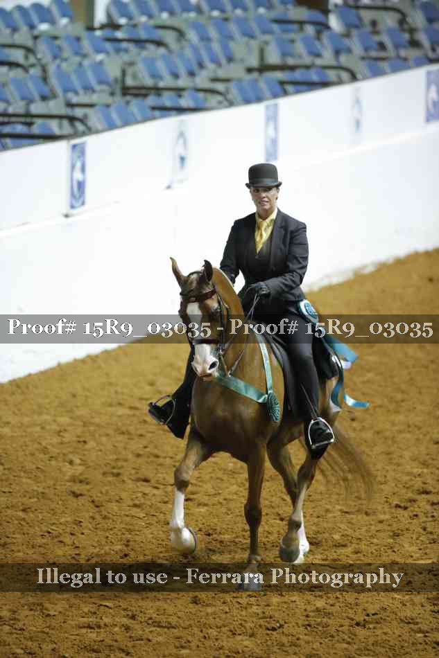 Proof 15R9_03035