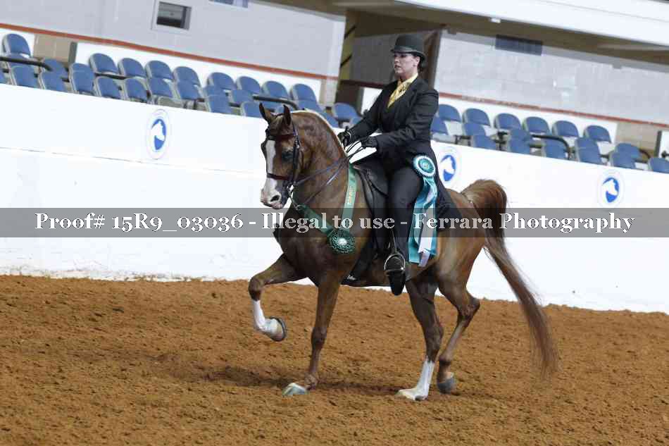 Proof 15R9_03036