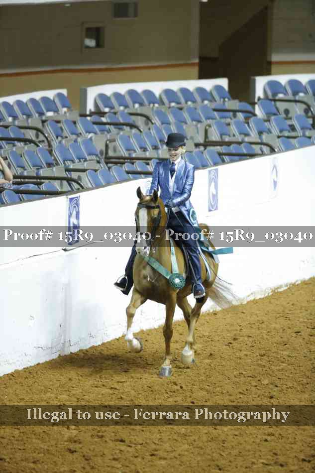 Proof 15R9_03040