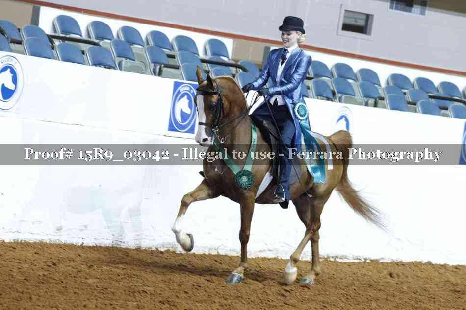 Proof 15R9_03042