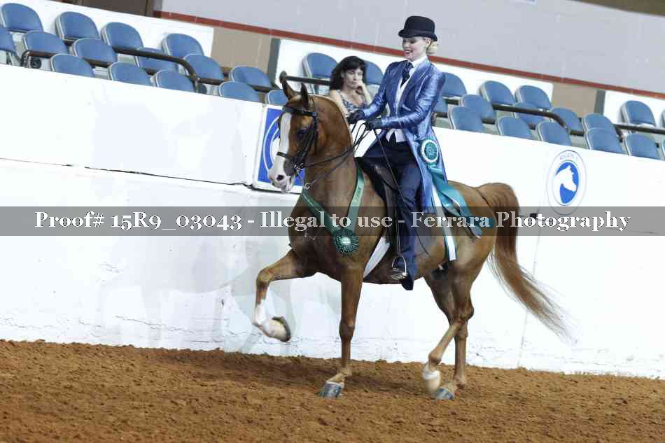 Proof 15R9_03043