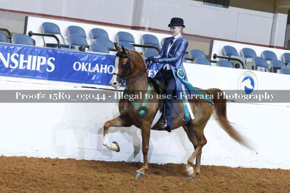 Proof 15R9_03044