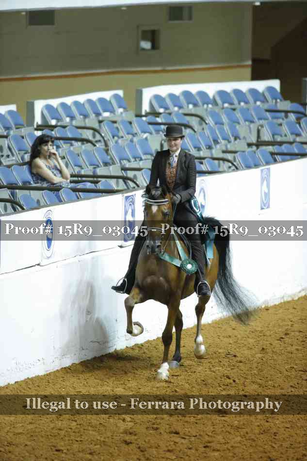 Proof 15R9_03045
