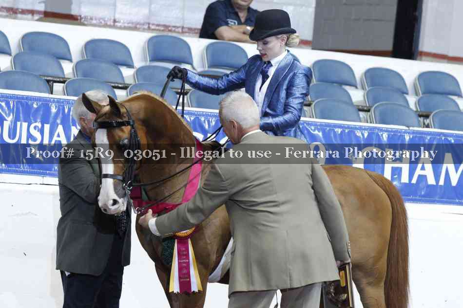 Proof 15R9_03051