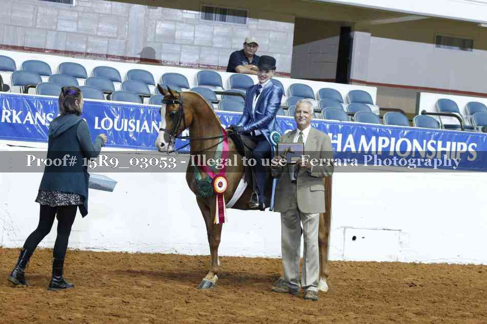 Proof 15R9_03053
