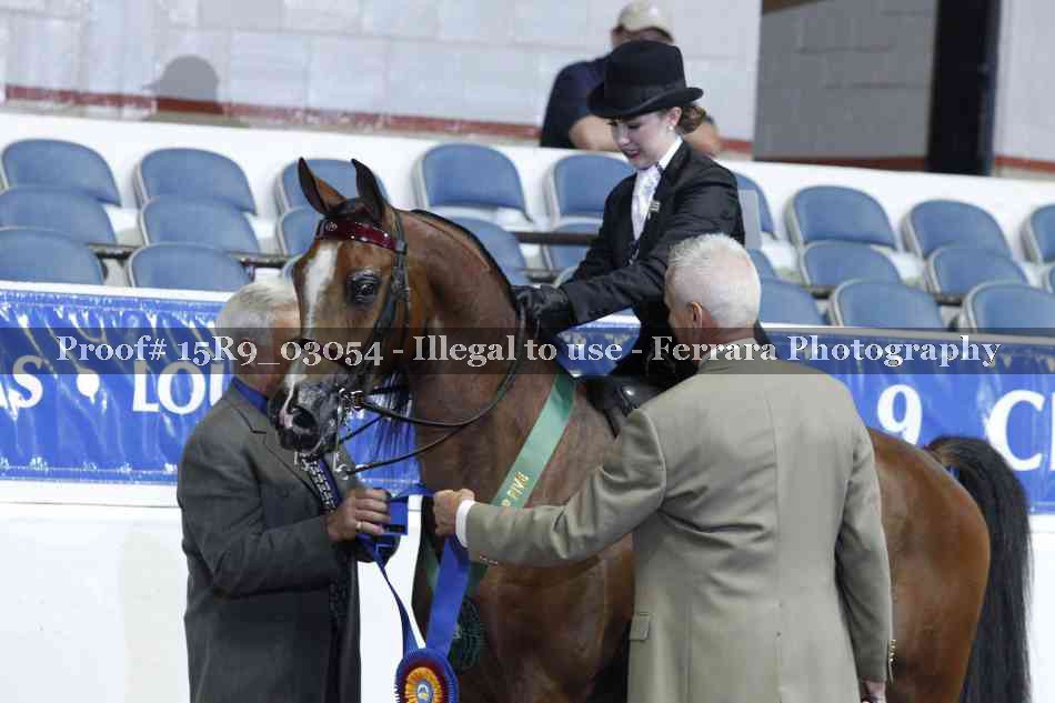 Proof 15R9_03054