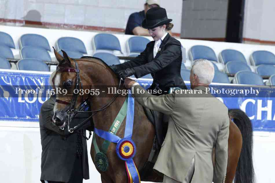 Proof 15R9_03055