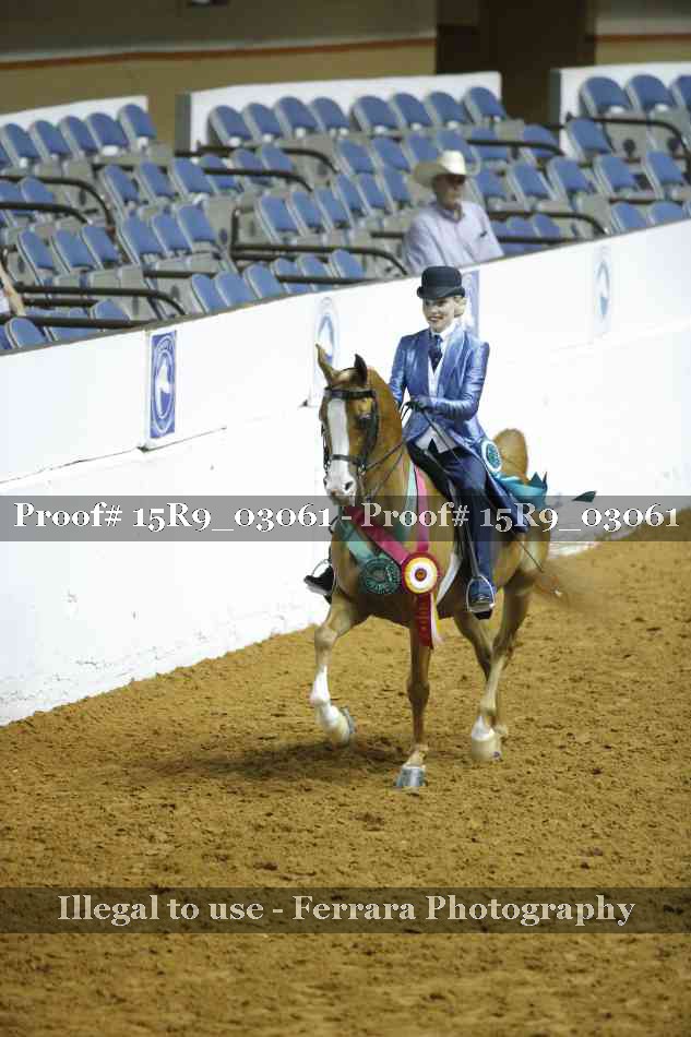 Proof 15R9_03061