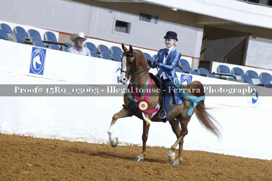 Proof 15R9_03063