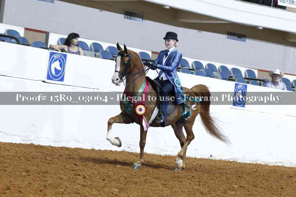 Proof 15R9_03064