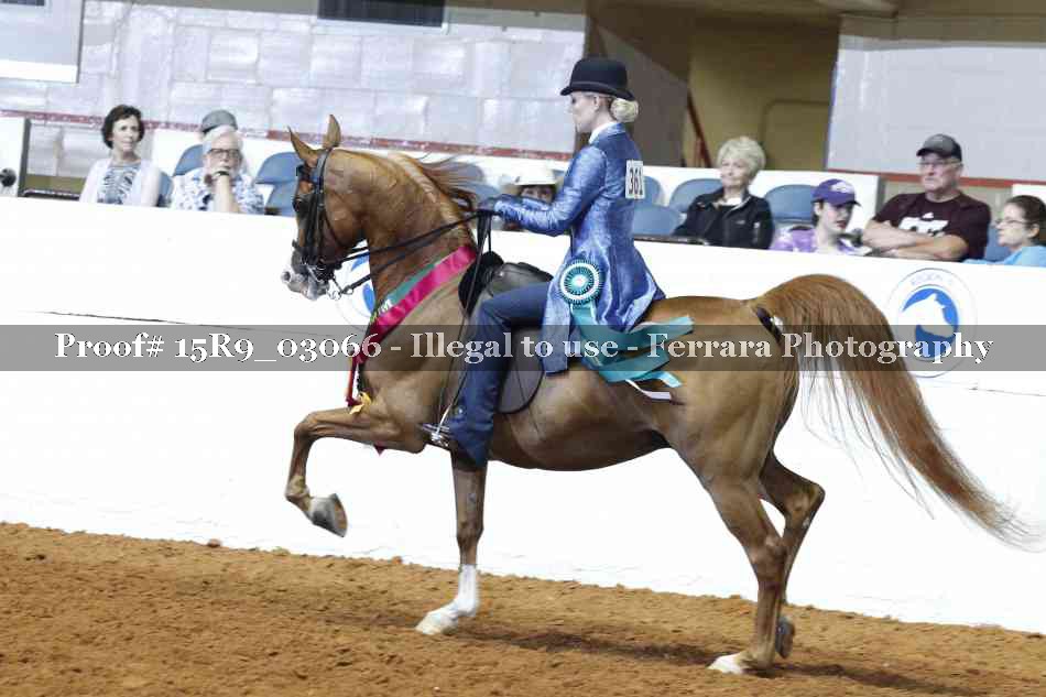 Proof 15R9_03066