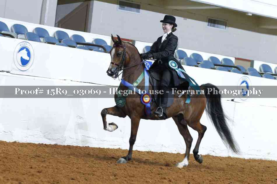 Proof 15R9_03069