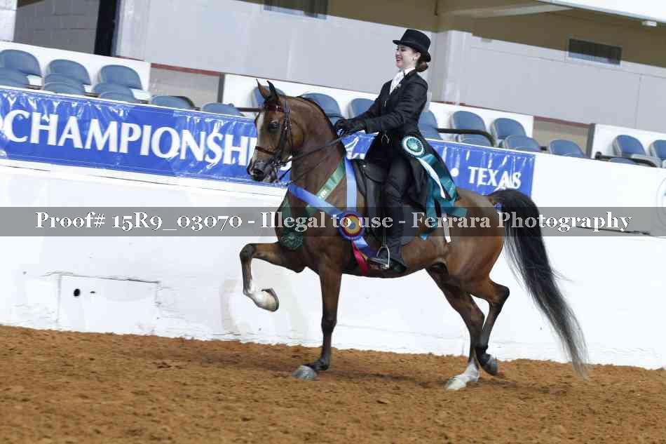 Proof 15R9_03070