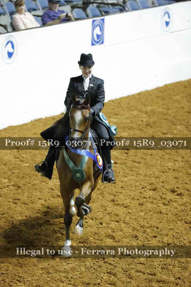 Proof 15R9_03071