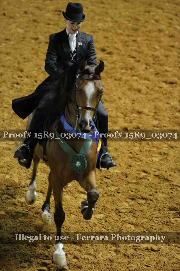 Proof 15R9_03074