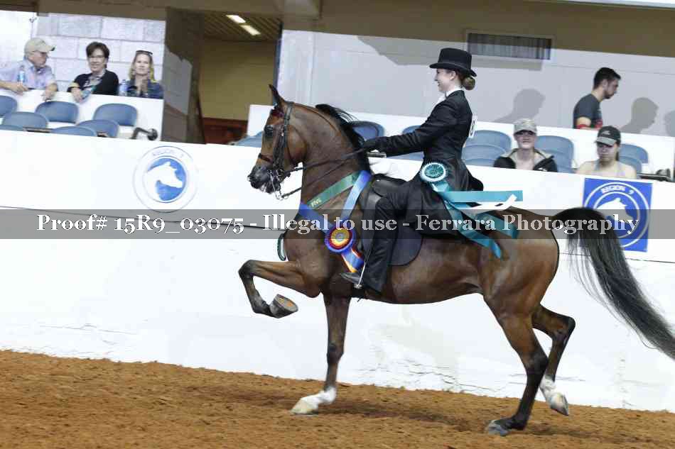 Proof 15R9_03075
