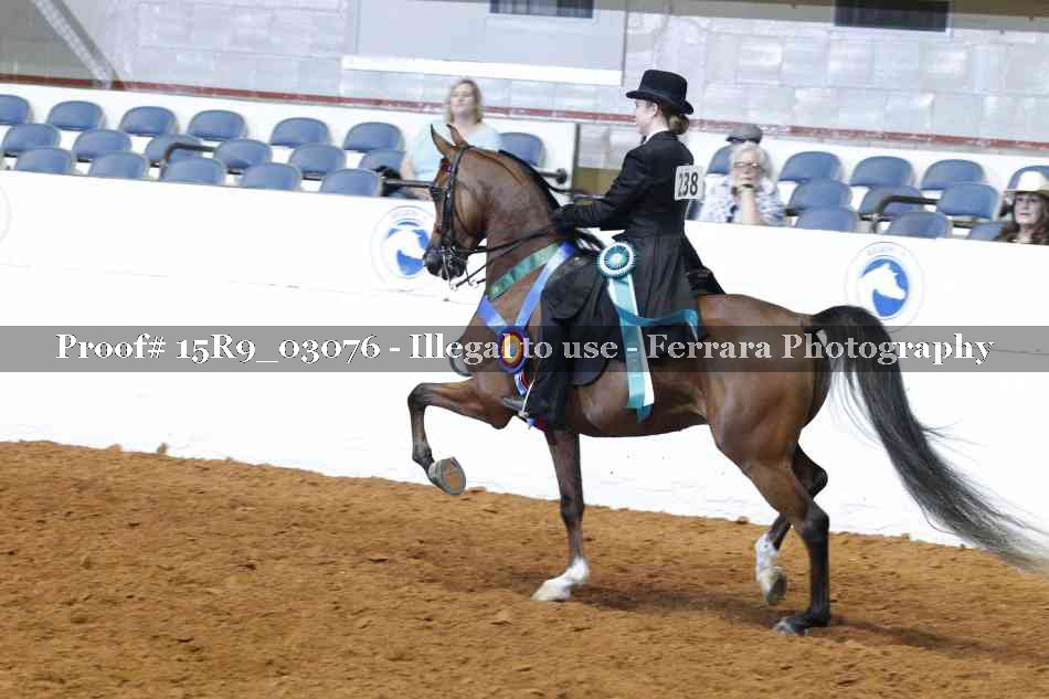 Proof 15R9_03076