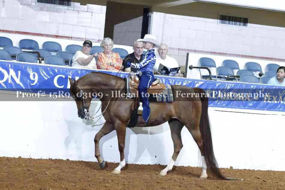 Proof 15R9_03199
