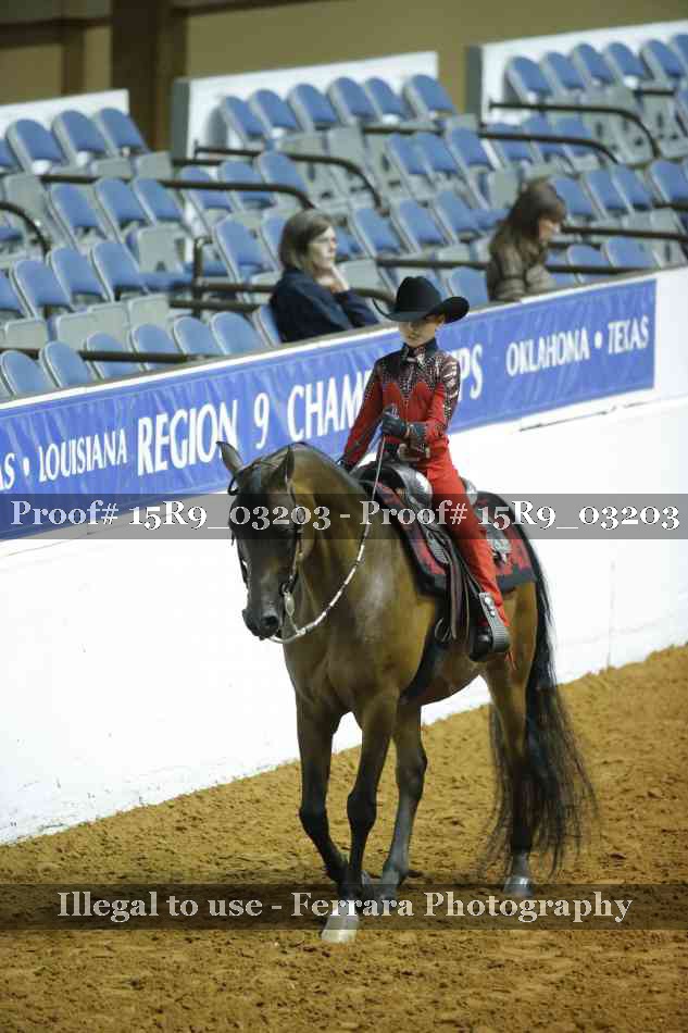 Proof 15R9_03203