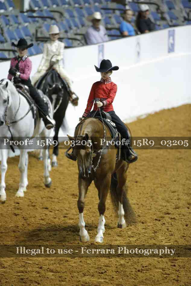 Proof 15R9_03205