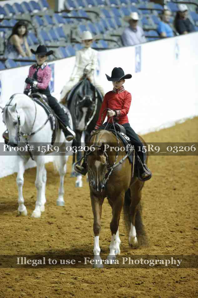 Proof 15R9_03206