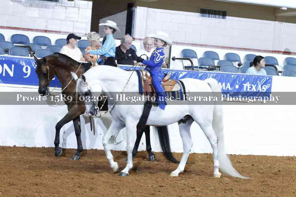 Proof 15R9_03207