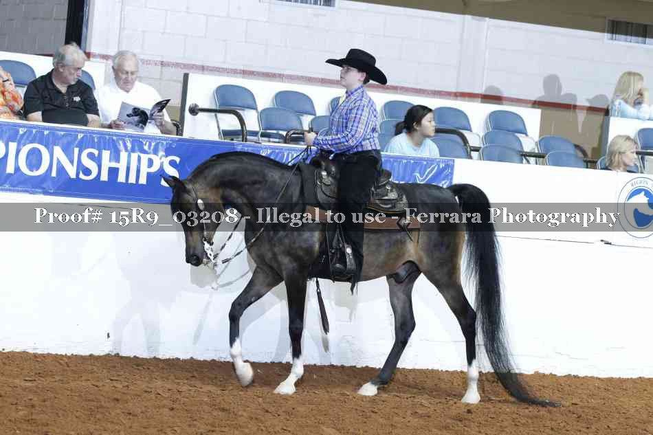 Proof 15R9_03208