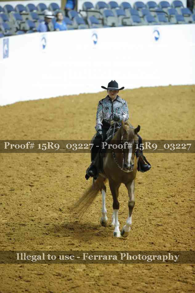 Proof 15R9_03227