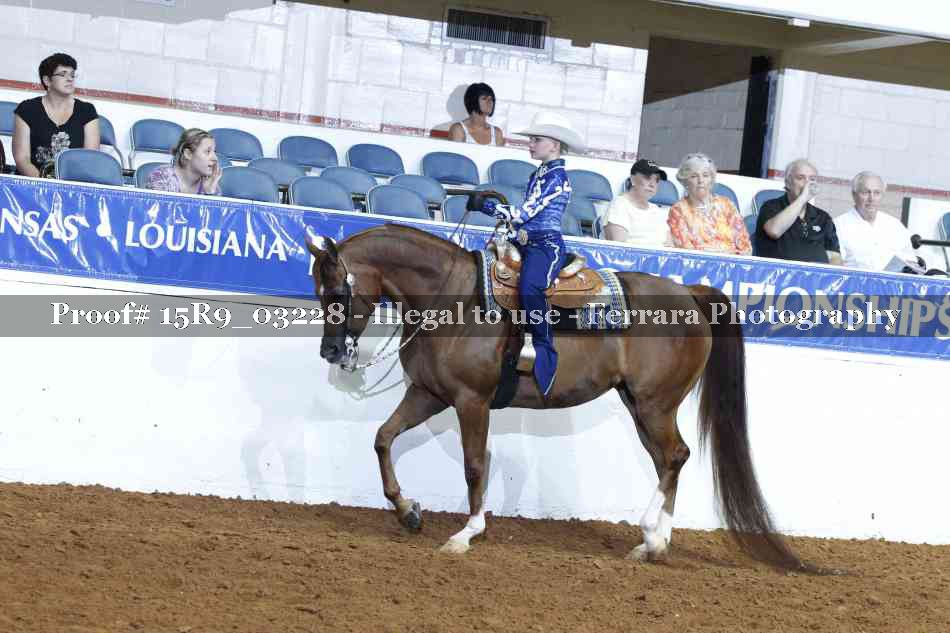 Proof 15R9_03228