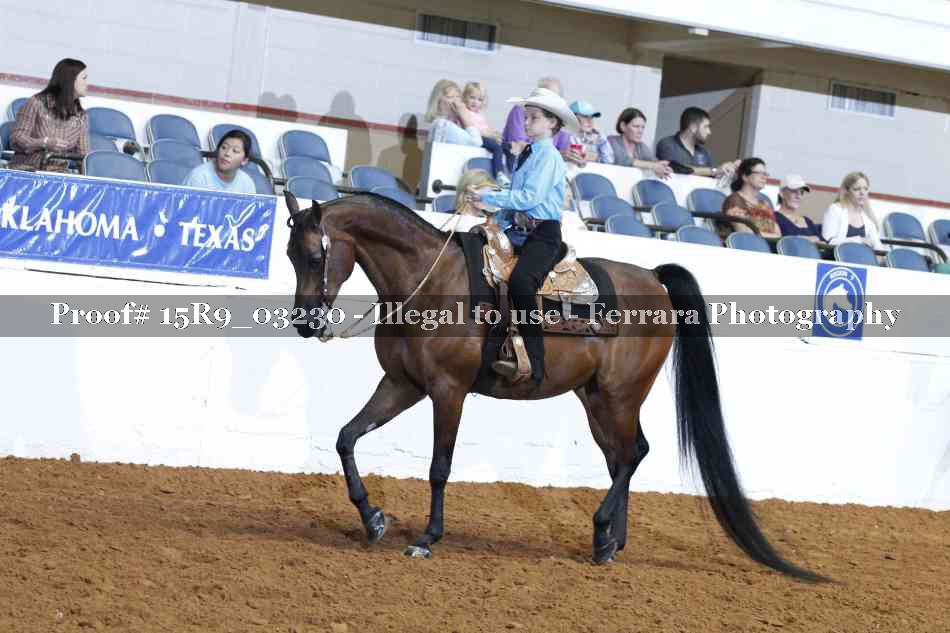 Proof 15R9_03230