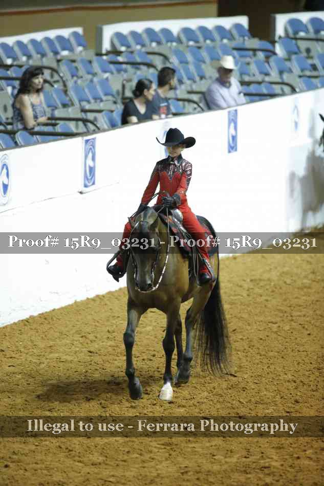 Proof 15R9_03231