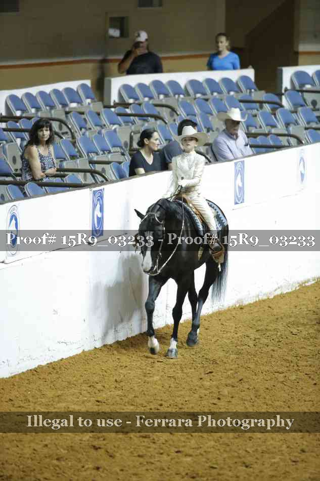 Proof 15R9_03233
