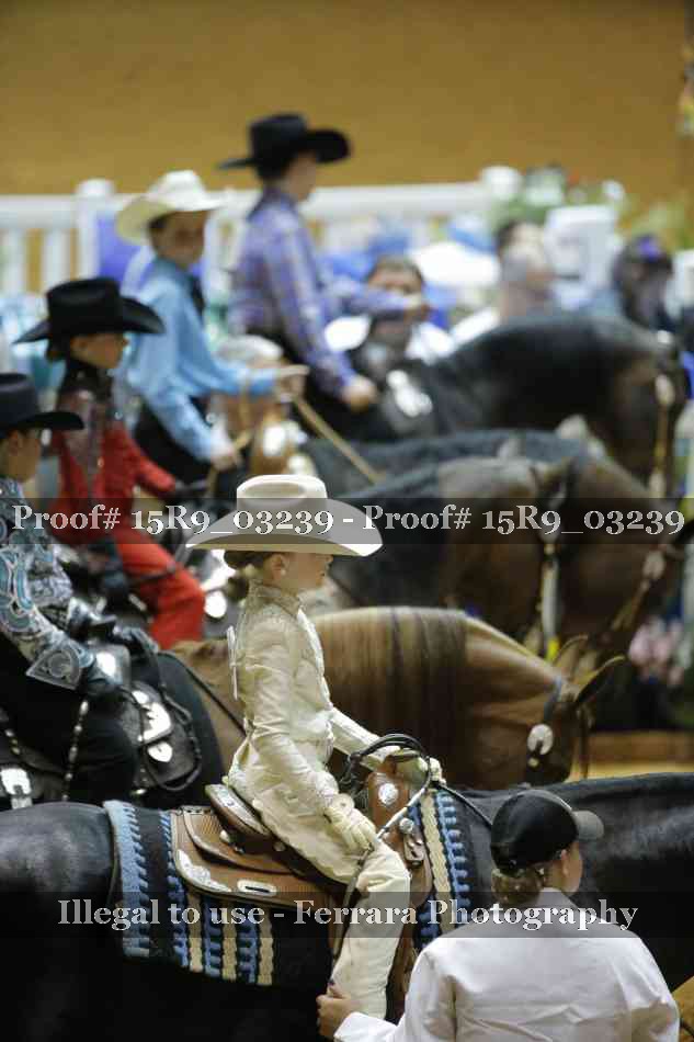Proof 15R9_03239