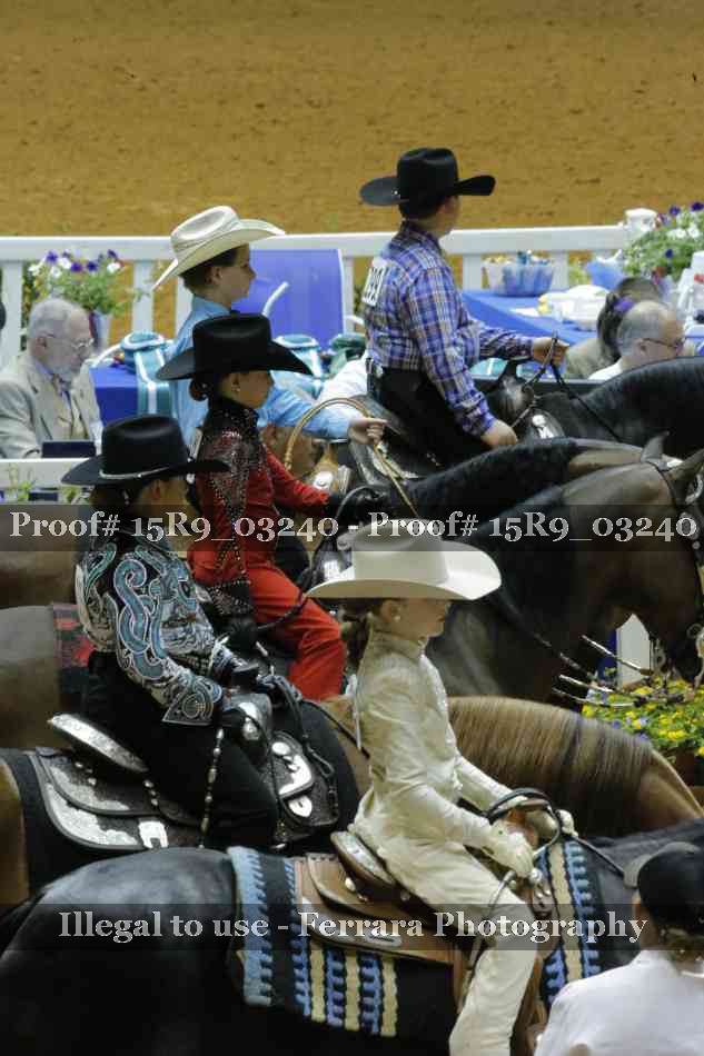 Proof 15R9_03240