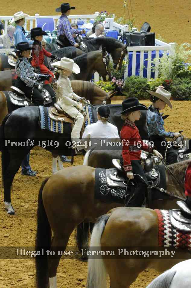 Proof 15R9_03241