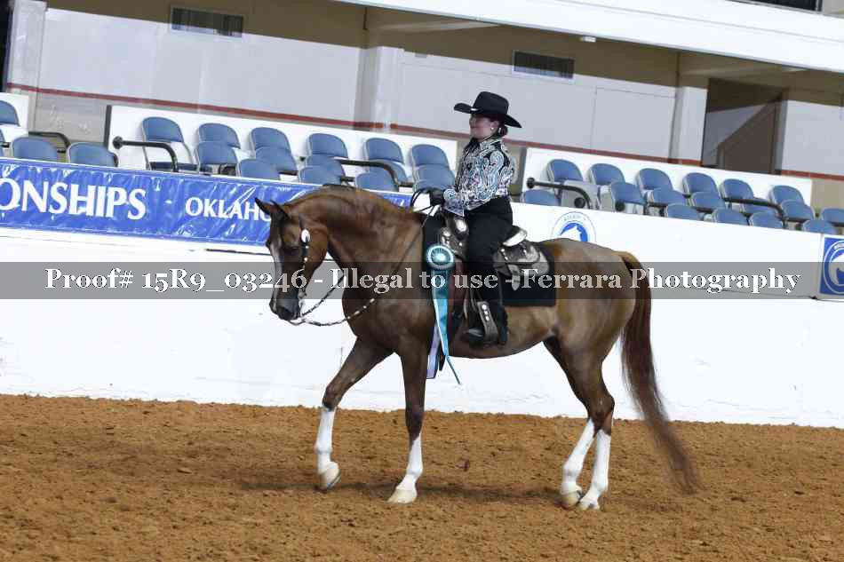 Proof 15R9_03246
