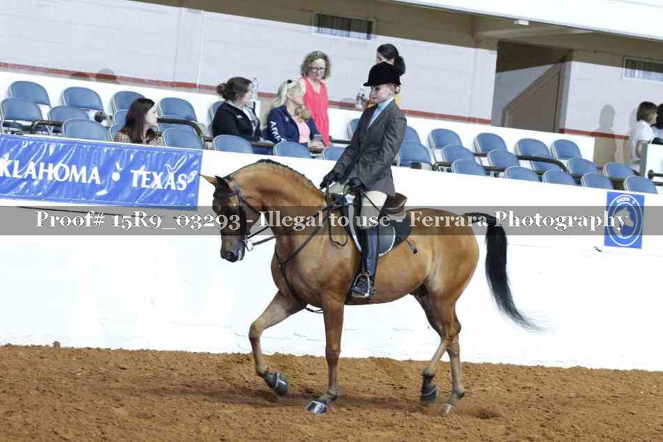 Proof 15R9_03293