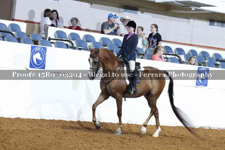 Proof 15R9_03294