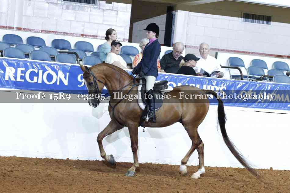 Proof 15R9_03295