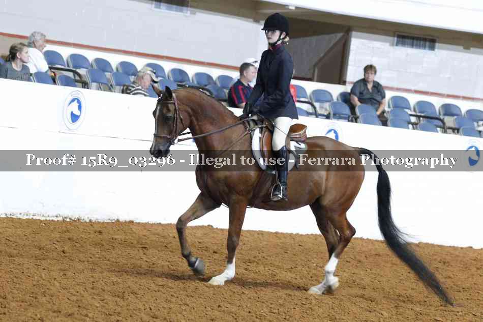 Proof 15R9_03296