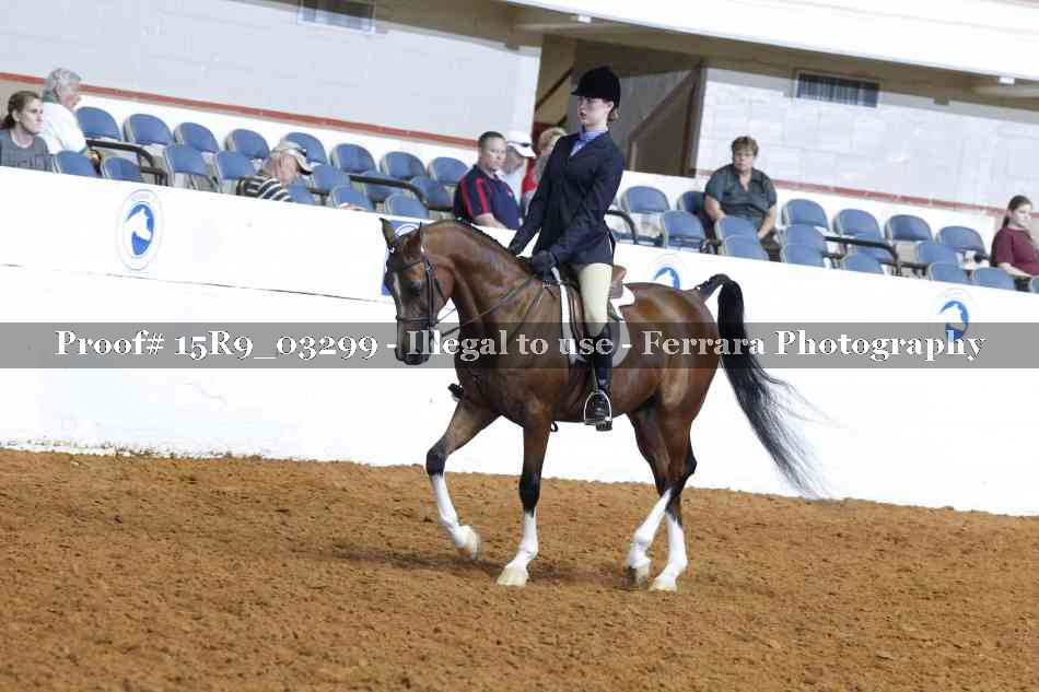 Proof 15R9_03299